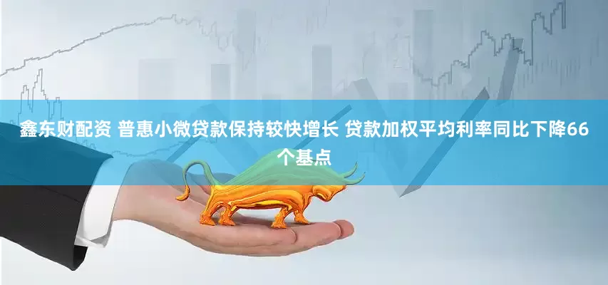鑫东财配资 普惠小微贷款保持较快增长 贷款加权平均利率同比下降66个基点