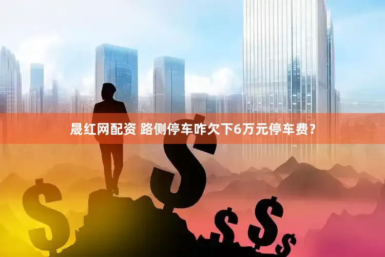 晟红网配资 路侧停车咋欠下6万元停车费?